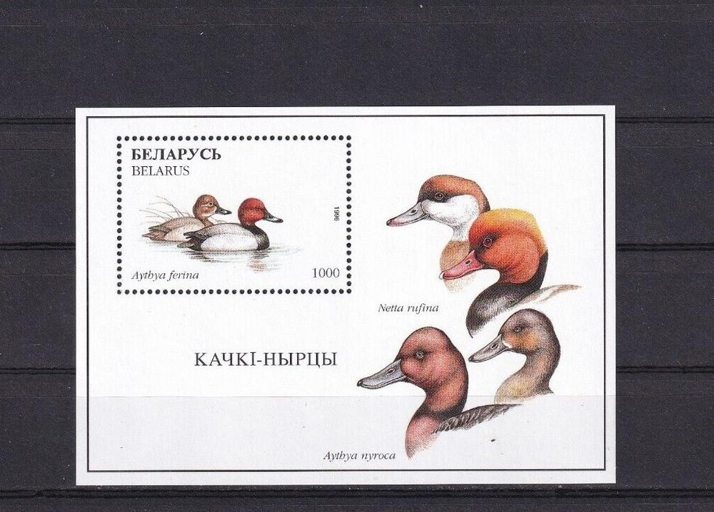 SA06a Belarus 1996 Birds-Ducks mint minisheet