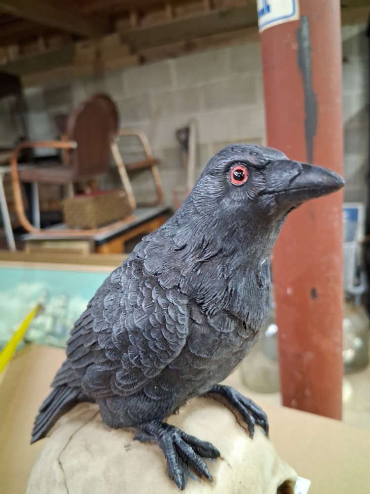 Raven Perched on Skull Gothic Figurine