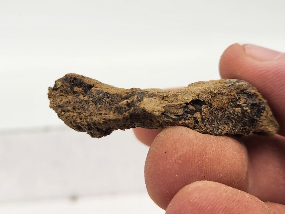 Dinosaur Bone Fossil Prep Projects - Morrison Fm. - Self Dug - Big Horn Co., WY
