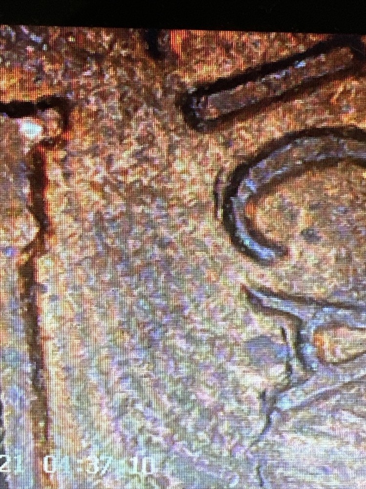 1984 Lincoln Cent With Reverse Clash Die Crack Error