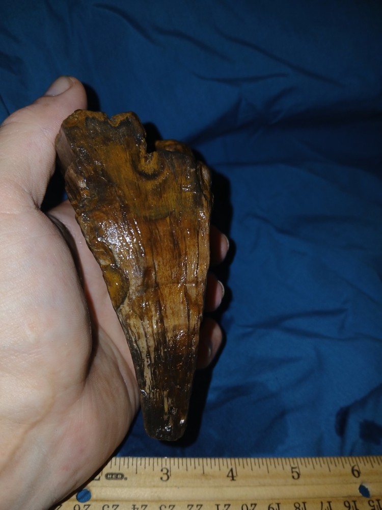 10 oz Petrified Wood
