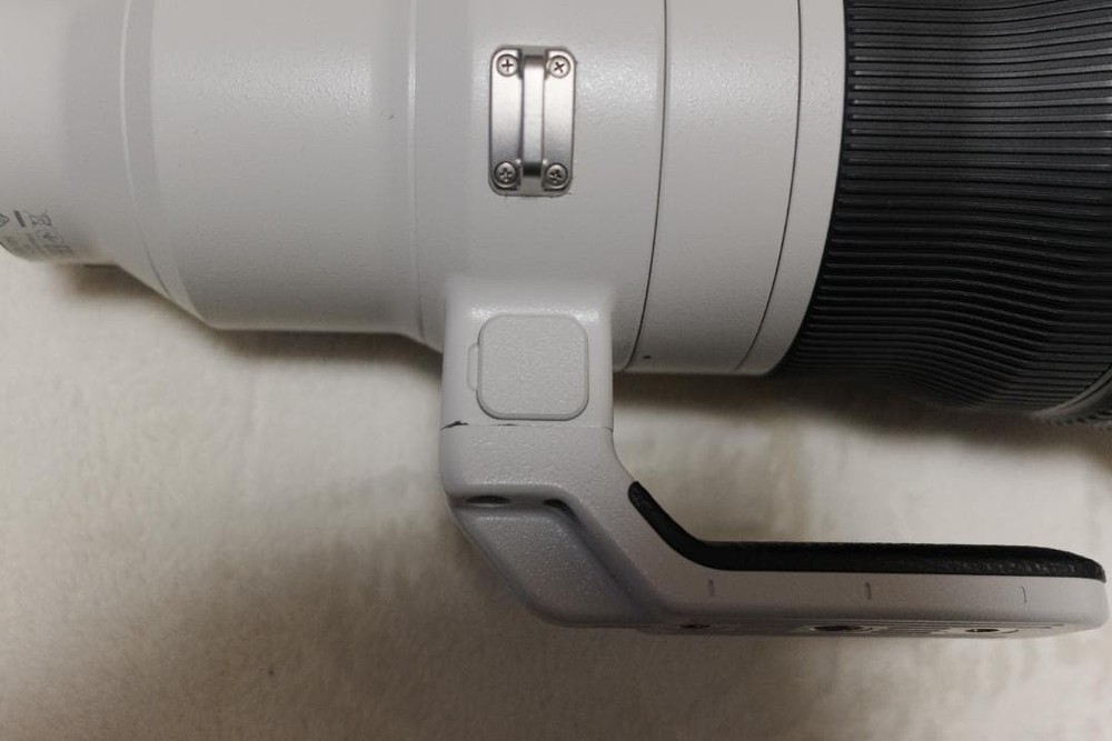 SONY FE 400mm F2.8 GM OSS