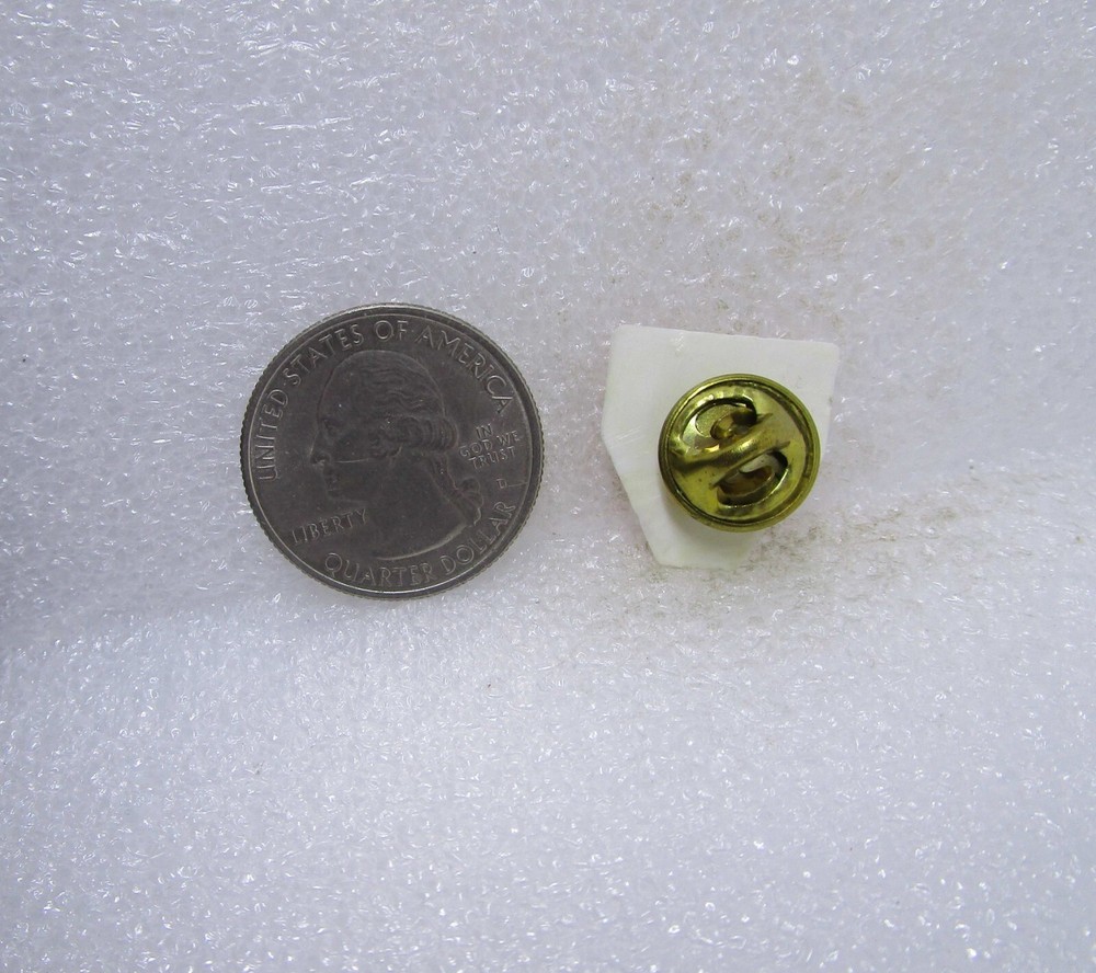 TLC Plastic Pin