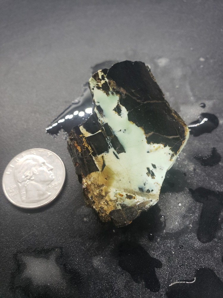 Nevada Gecko Variscite Slab