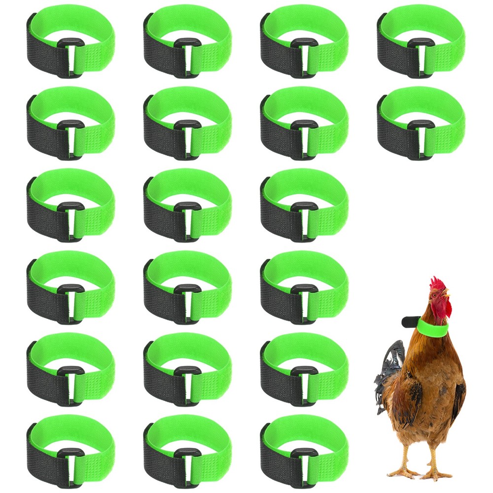 20-Pack Adjustable Polyester Rooster Collars for Poultry Birds [Green]