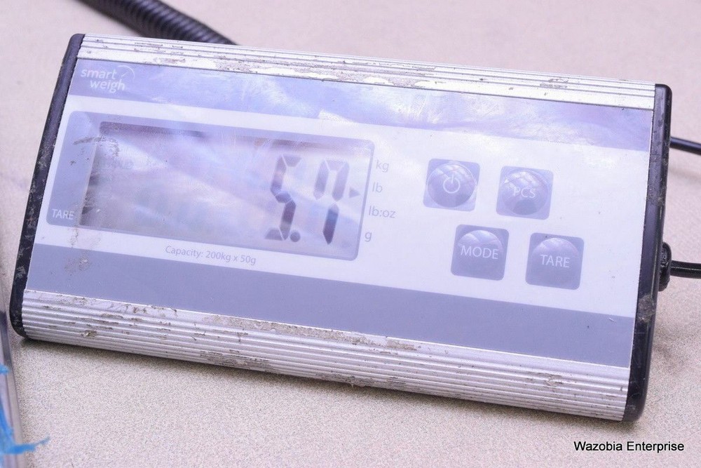 JEDMED XE30-ECO-X-F CAMERA LIGHT SOURCE