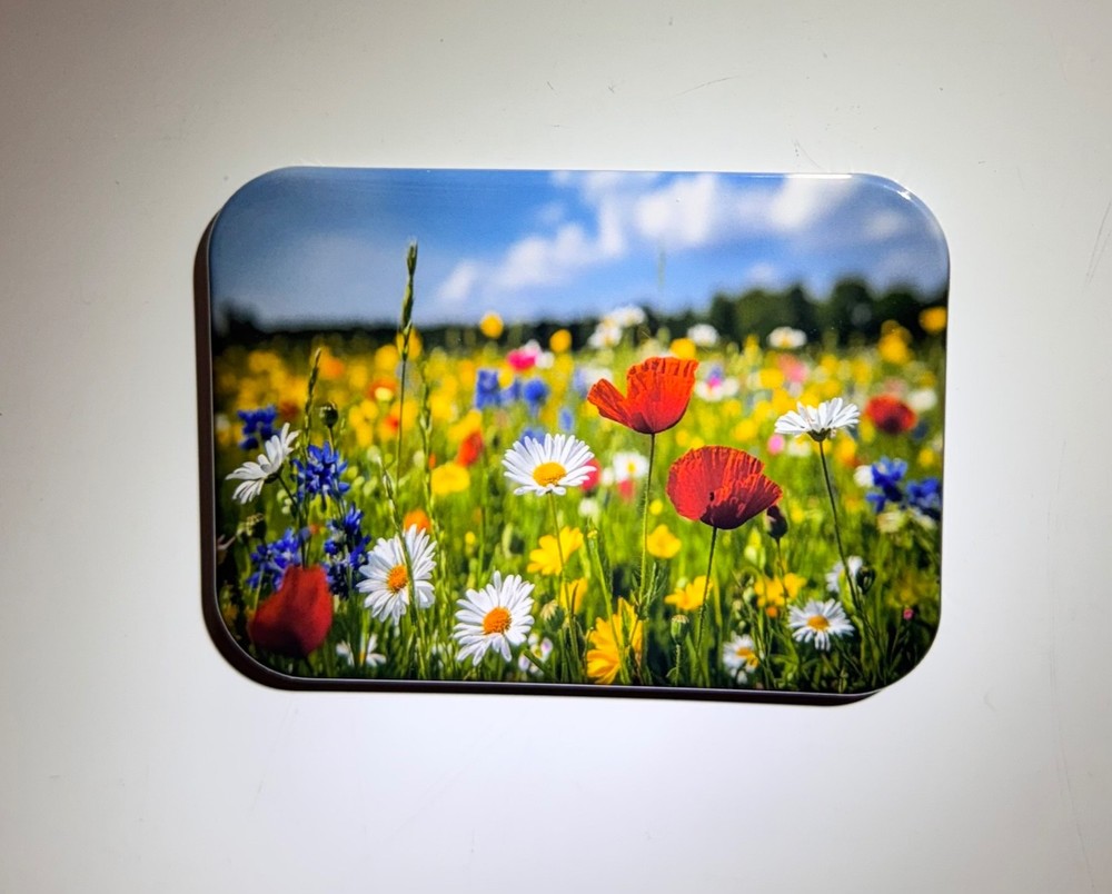 Springtime Summertime Fridge Magnets