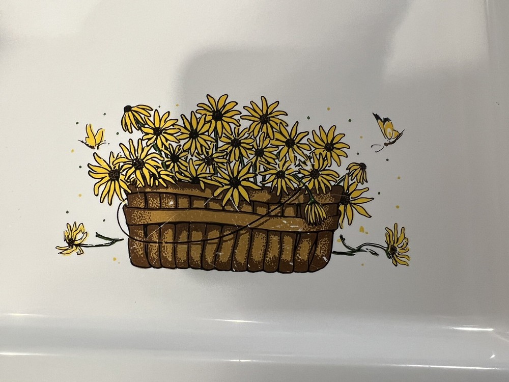 RARE Sterilite Trays-8