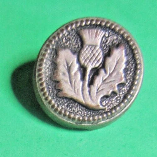 Vrg 5/8" THISTLE FLOWER LEAF METALIZED SILVER EARLY PLASTIC SHANK BUTTON-T450