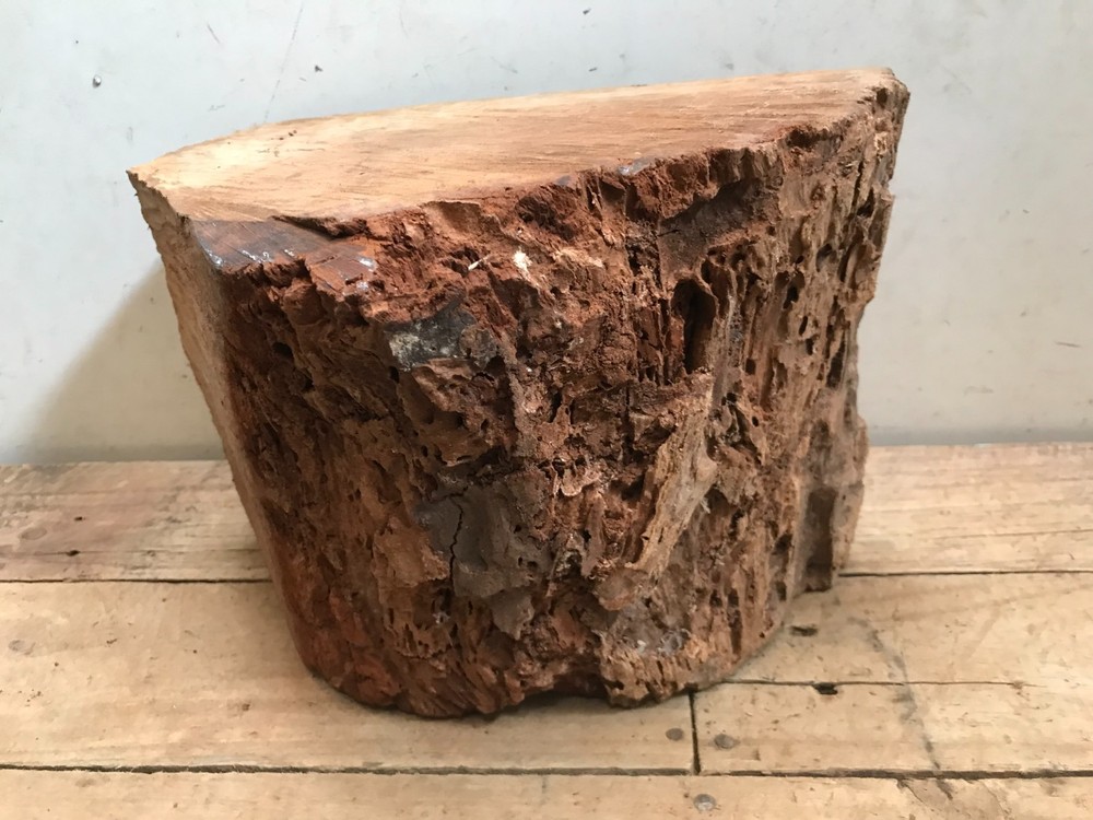 Black Walnut Weathered Block Lathe Turning Carving Chunk