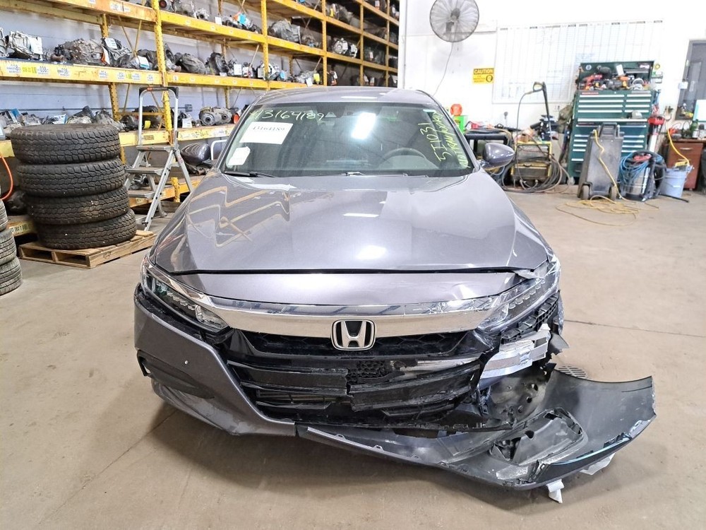2019 Accord Jack Sku#4260589