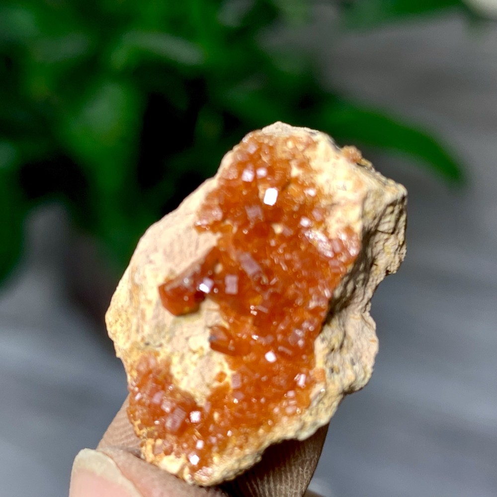 8GNatural Beautiful Vanadinite Atone Cluster Quartz Mineral SamplefromMorocco
