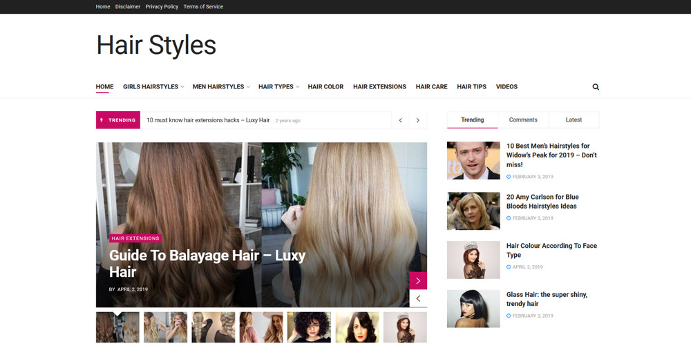 Automated Wordpress Hair Styles Website - Profitable Autoblog