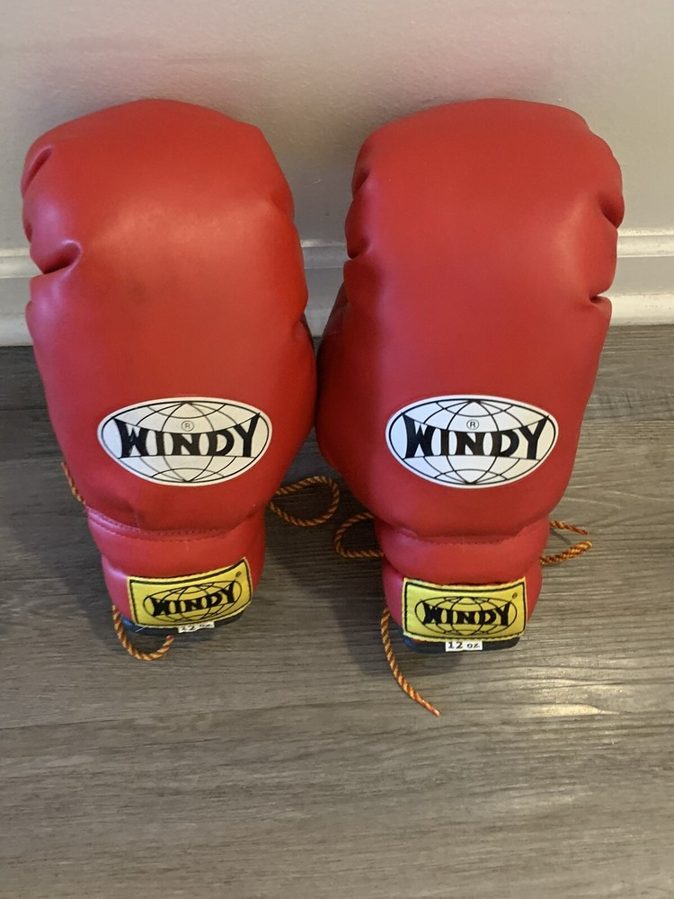 12 oz windy boxing gloves
