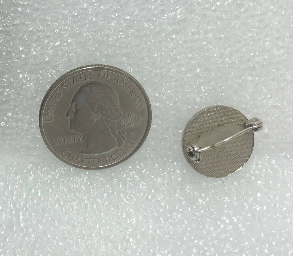 Elsinore California Pin