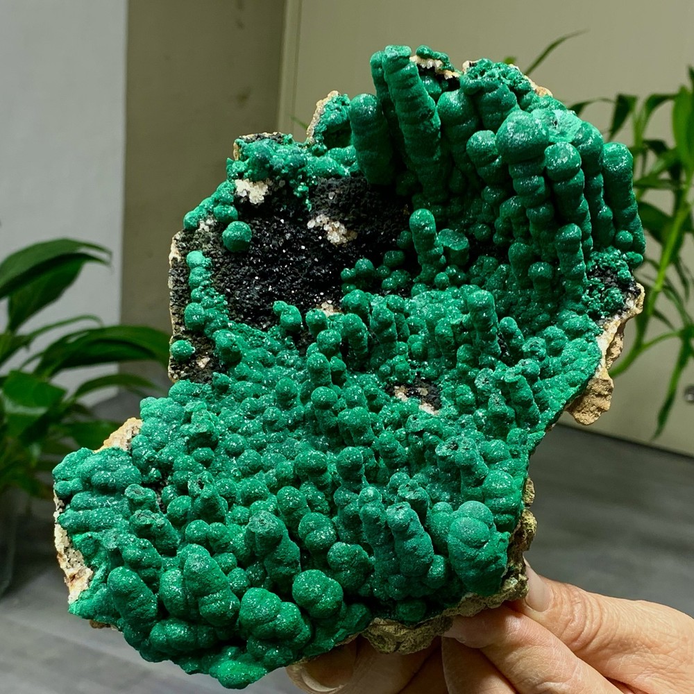 2.34LB Natural Malachite rysocolla transparent cluster rough mineral Sample