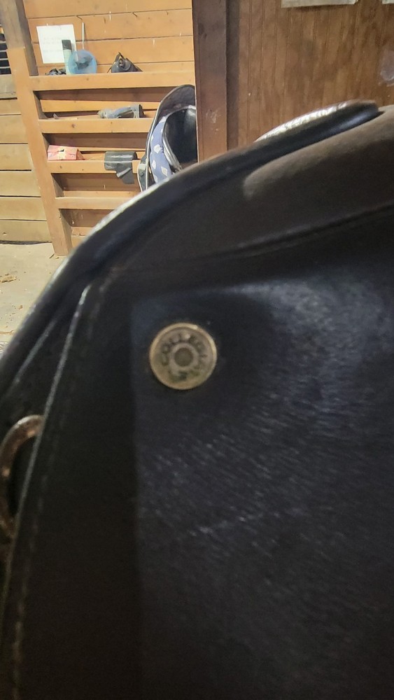 Collegiate Saddle 17 Inch