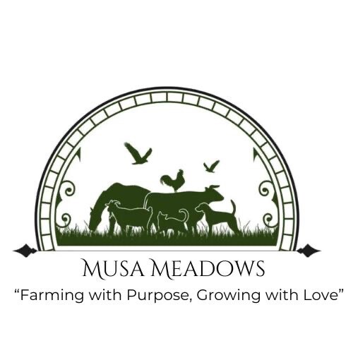 24 Chicken Egg ( Rare breeds Mix )