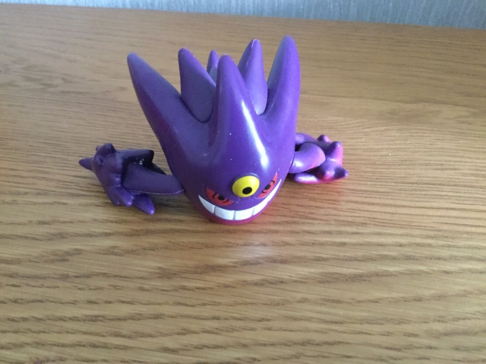 Pokemon Trainer Kit (Rare)