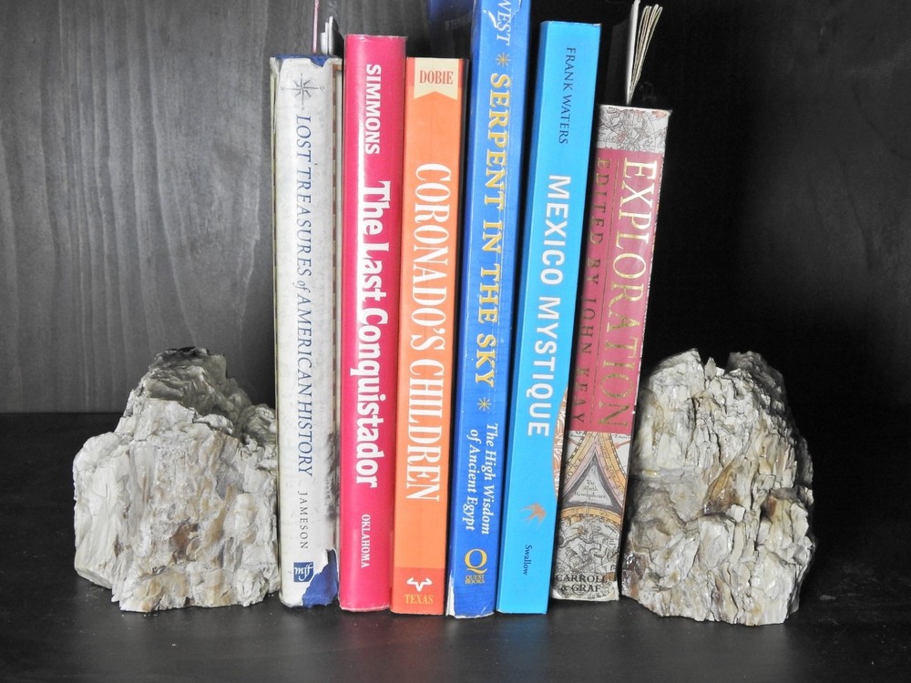 Book Ends Petrified Wood