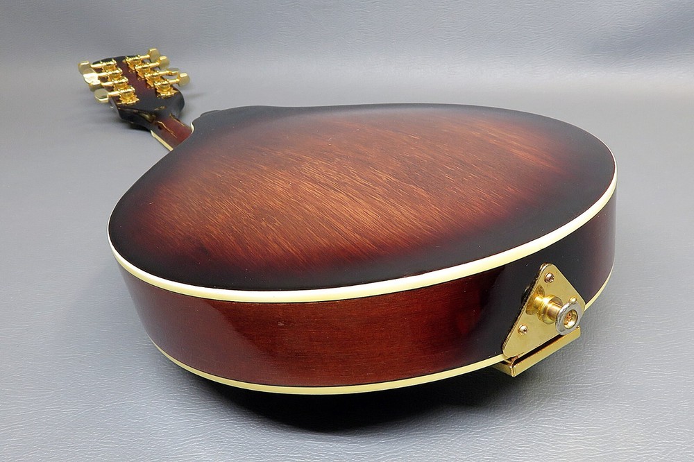 Mandolin Vester