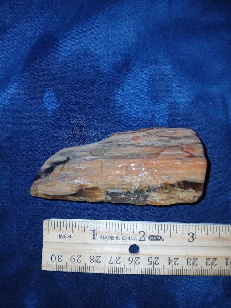 3.5 oz Agatized Petrified Wood