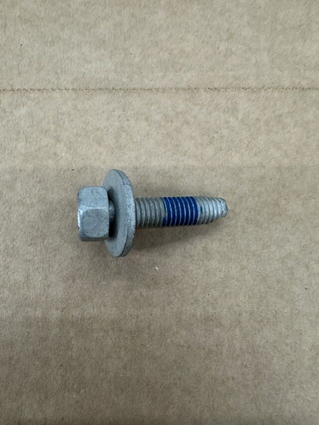 Genuine Rear Plate Bolt W709390-S439