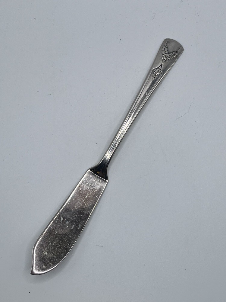 Gailstyn Silverplate 6.75” Butter Knife