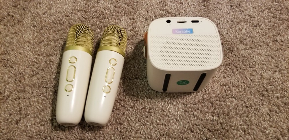 Compact Karaoke Machine 2 Mics Gold