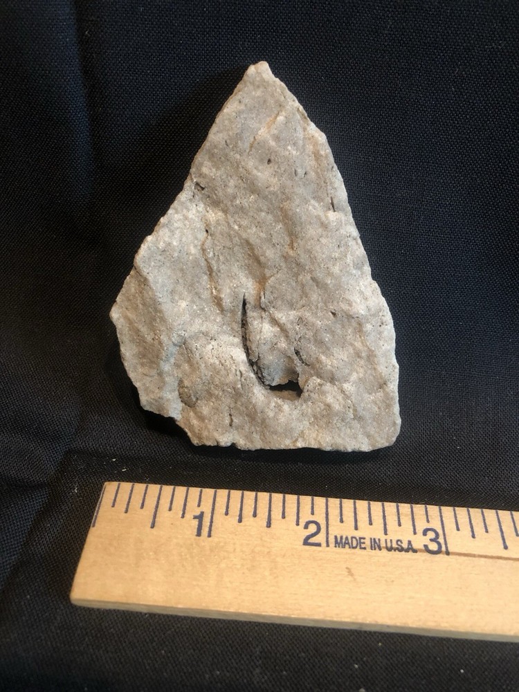 Fossils From West Virginia Mountain