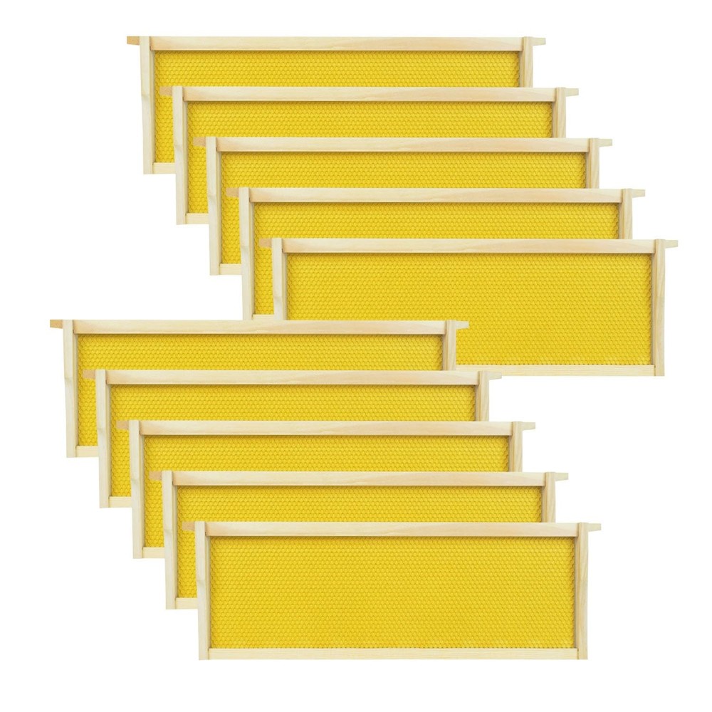 HiveSweet Medium Beehive Frames with Wax Foundations 10 Frames, brown
