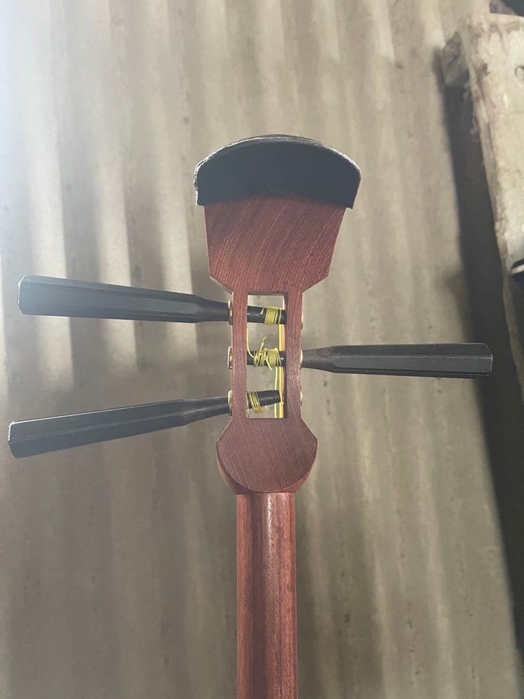 Luxury Shamisen With Case