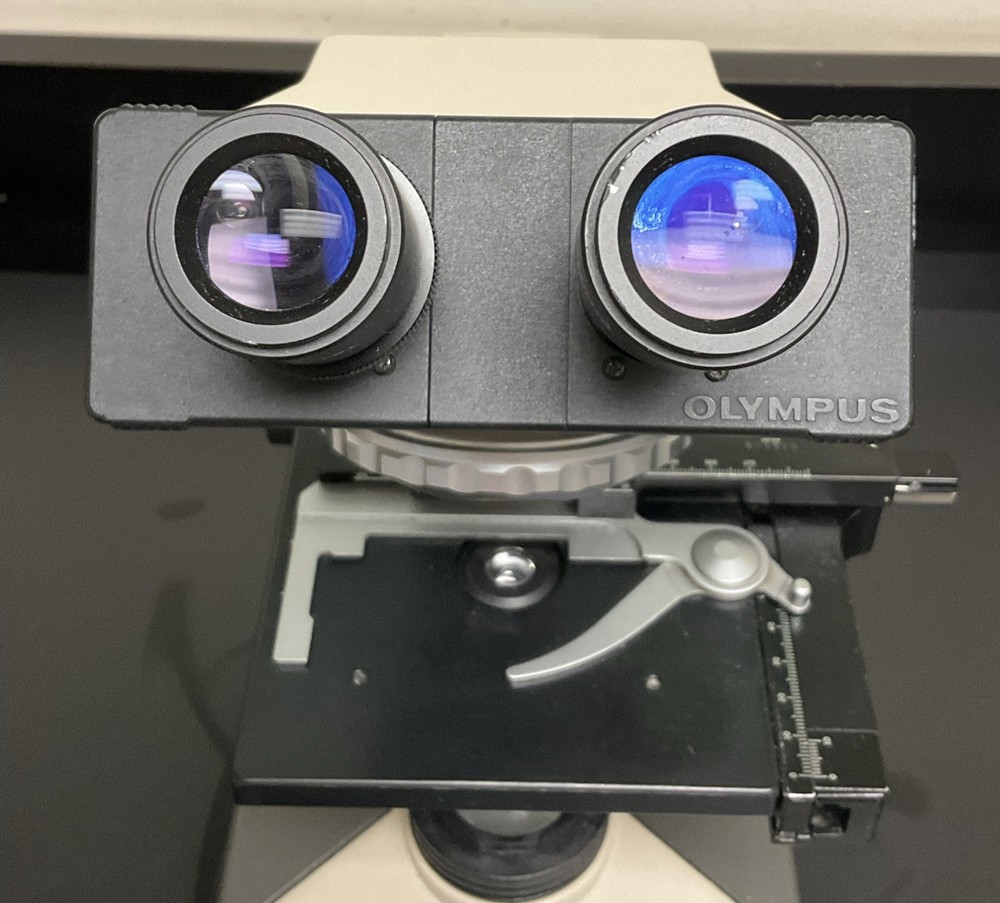 Olympus CHS Binocular Microscope | No Power Supply or Objectives