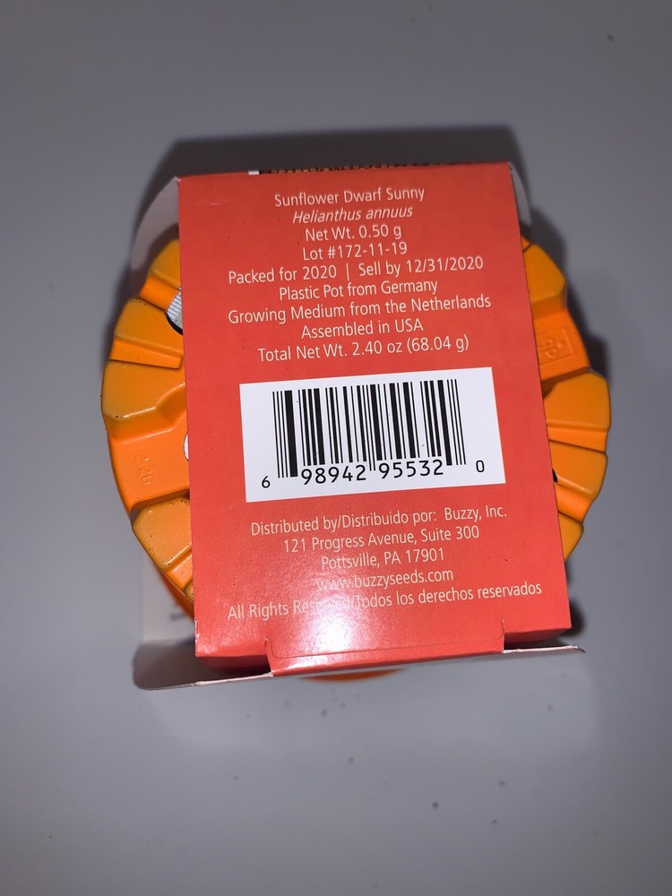 Buzzy Sunflower Growing Kit New #3050