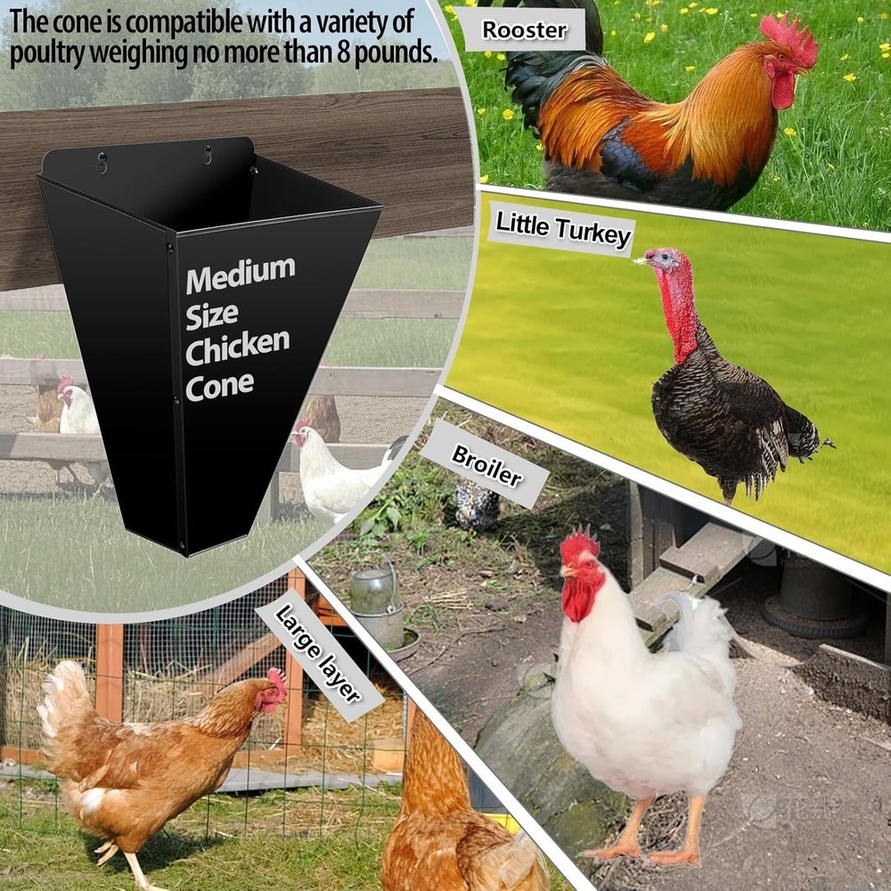 Rust-Resistant Medium Chicken Cone - Steel for Safe Poultry Processing