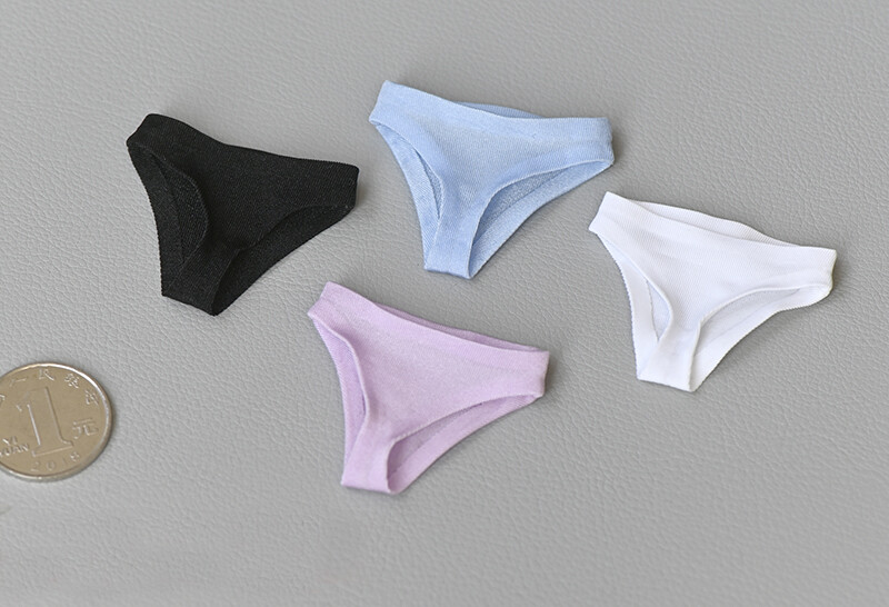 1/6 Scale Student Briefs Panty Model