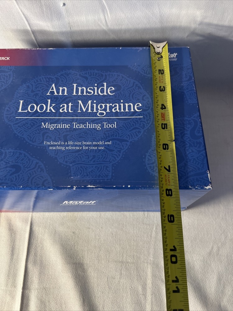 3-D Maxalt Merck An Inside Look At Migraine Teaching Tool