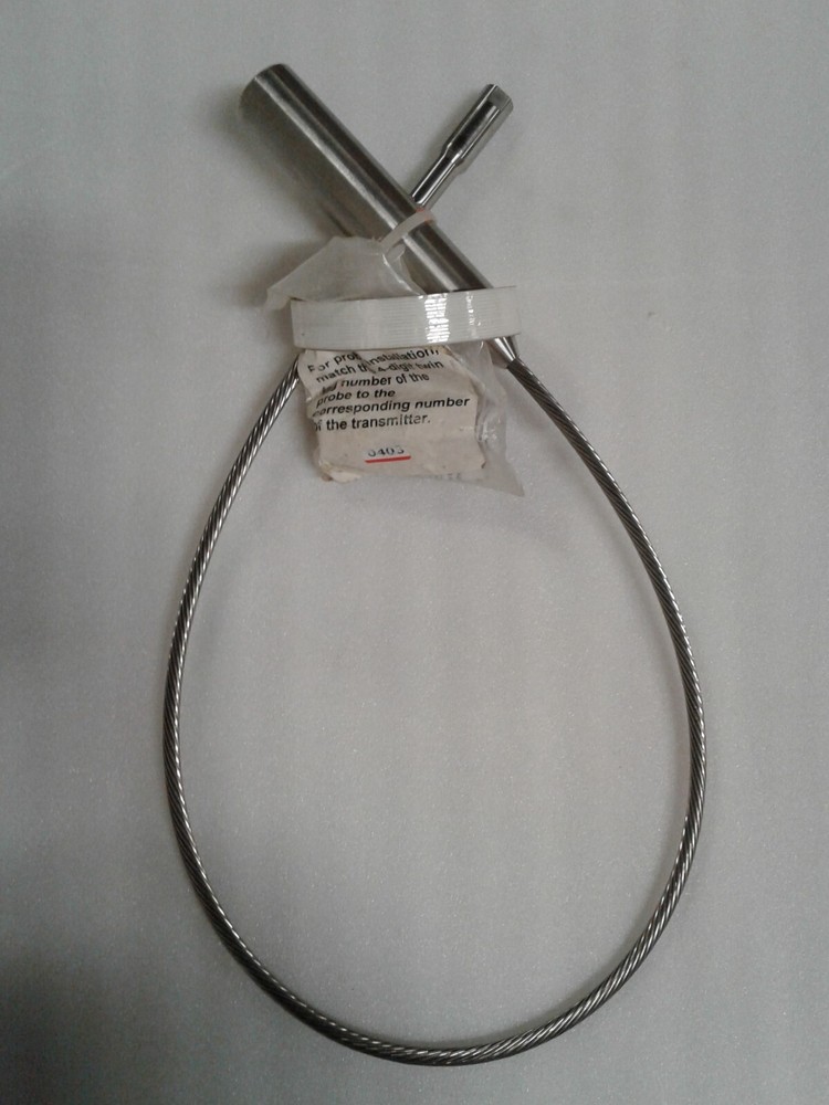 Endress Hauser FMP40-TBD2ALJB21JA Level Flex M Sensor with Probe