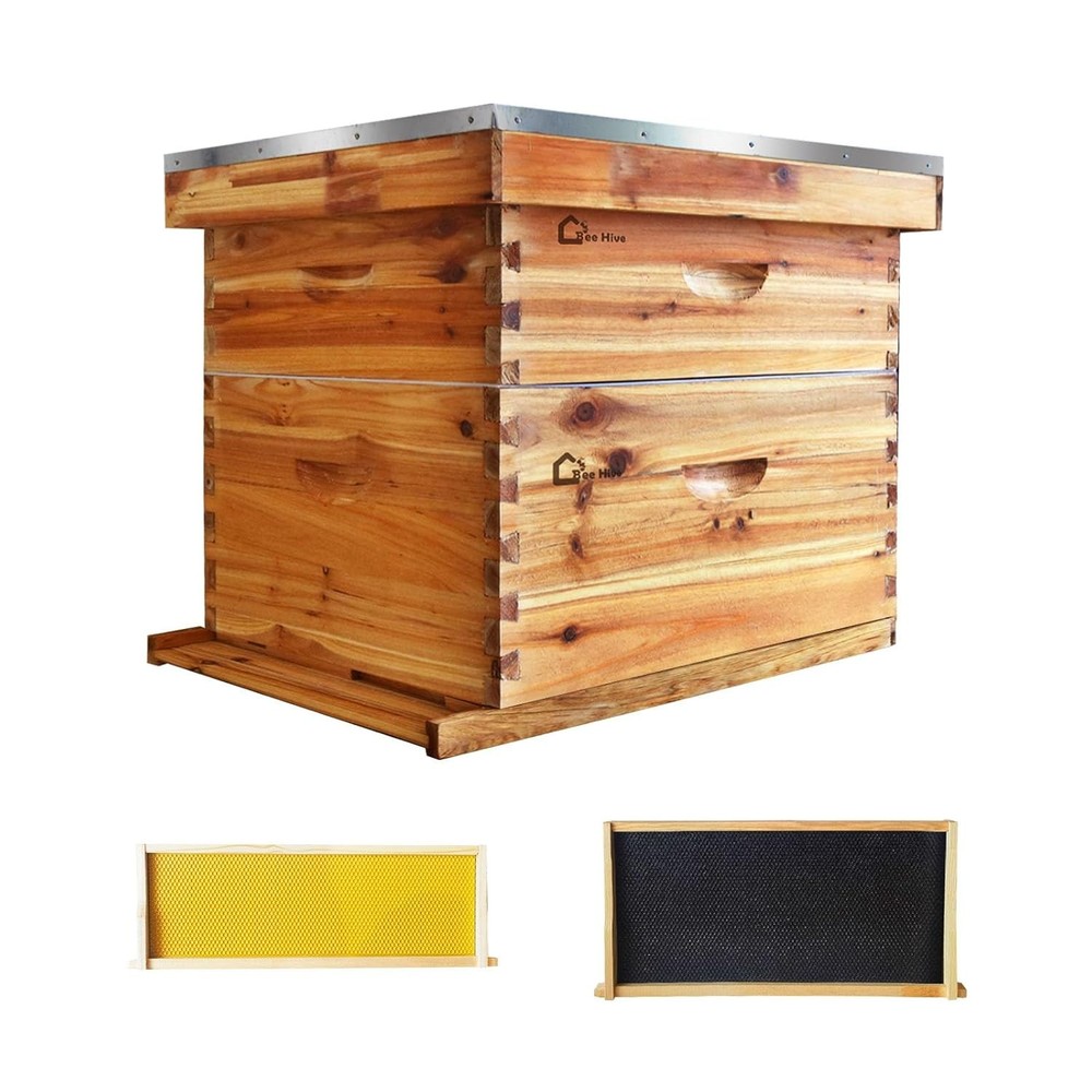 Langstroth Beehive Starter Kit - 20 Frame Box with 10 Deep & 10 Medium Frames
