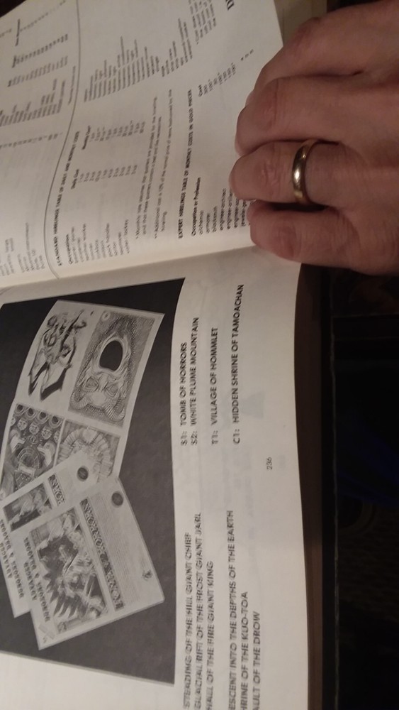 Advanced Dungeons & Dragons Dungeon Master's Guide 1st Edition 6th Beta 238 pp