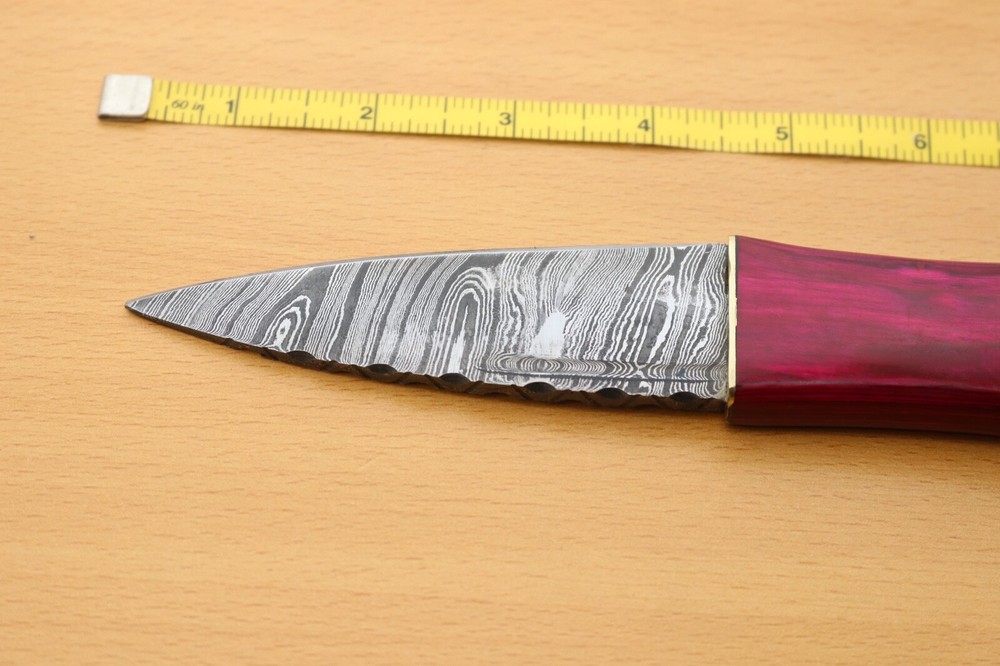 8 inches Celtic Scottish Dirk SGIAN DUBH DAGGER Bone Handle Knife.