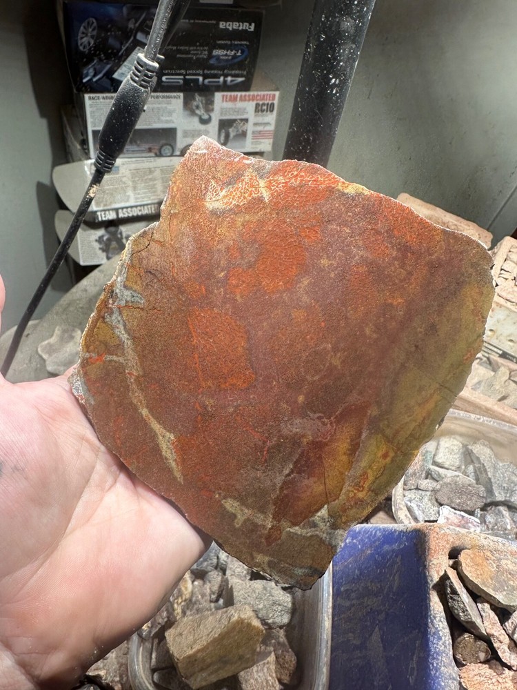 Dinosaur bone rough **hxtled large slab.