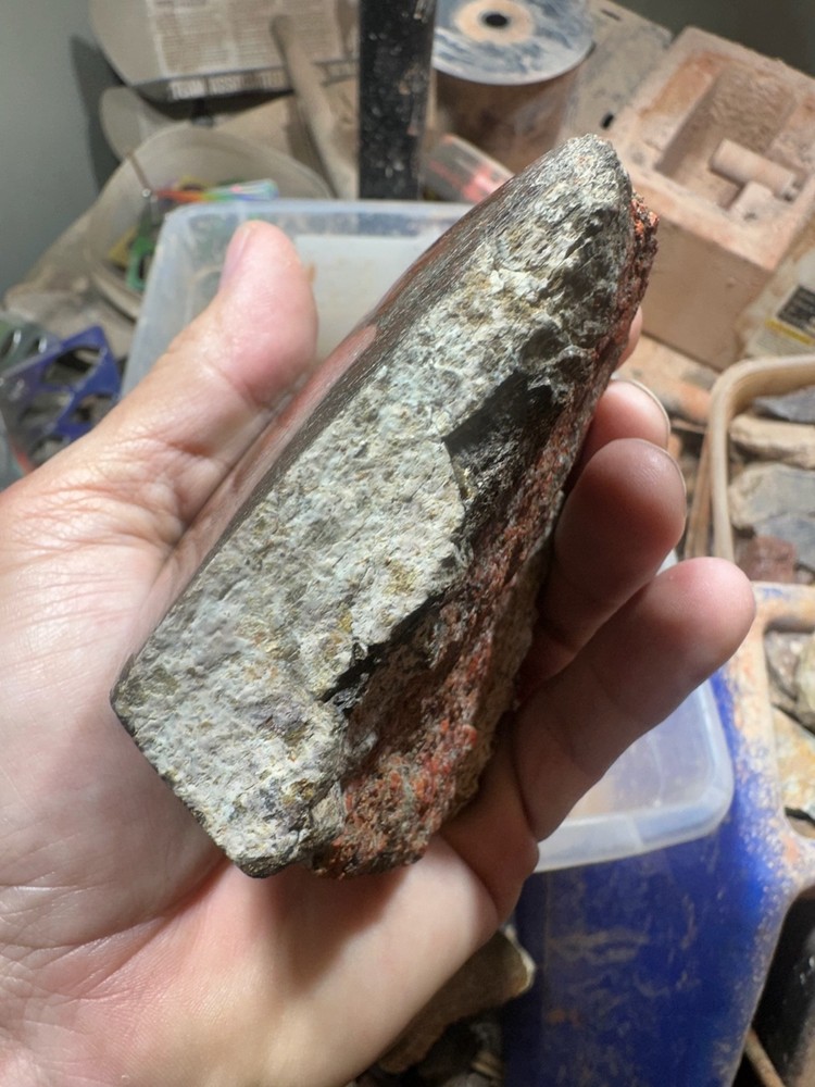 Dinosaur bone polished end cut specimen.
