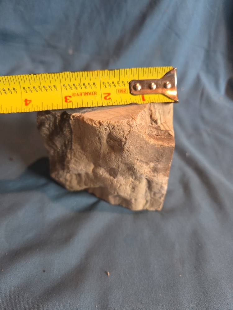 Petrified Wood Rough Approx 4x4 950 Grams