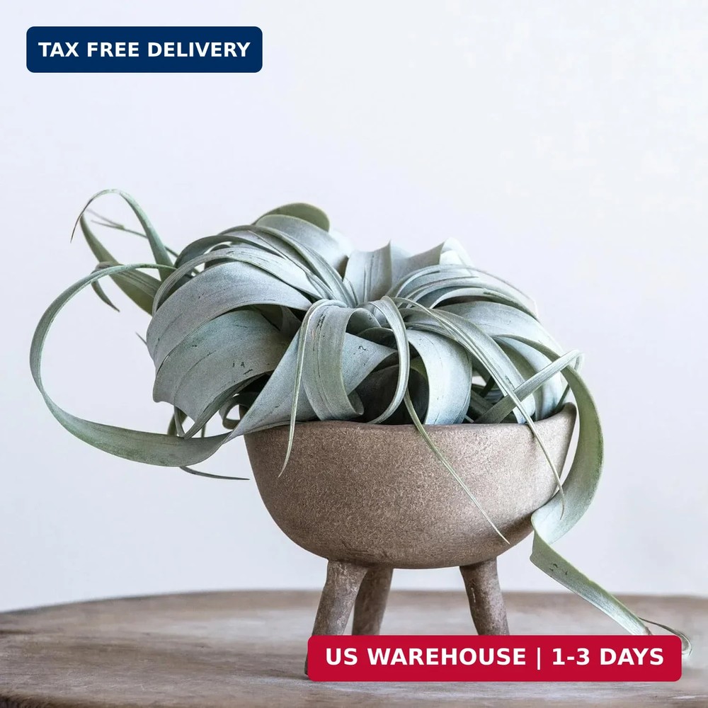 Creative Co-Op Boho Terracotta Footed Planter with Organic Edge, Matte Taupe