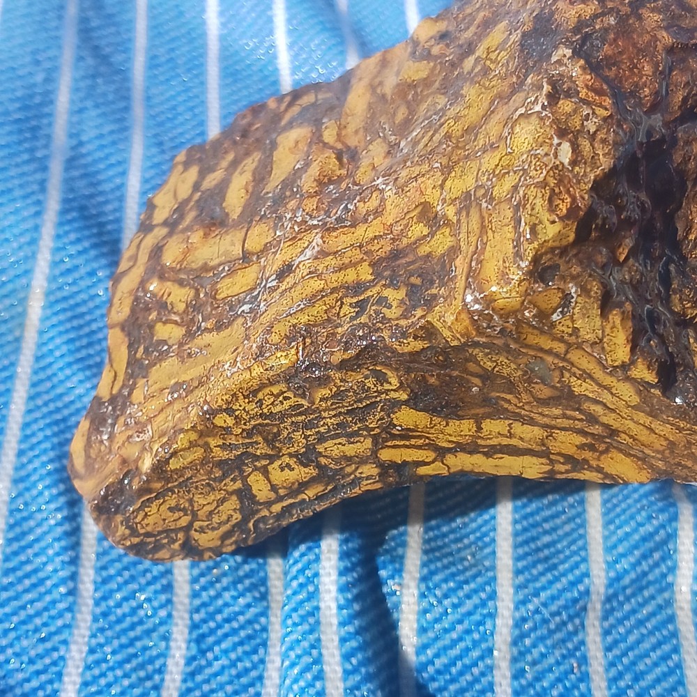 Jasper Rough Specimen Display Lapidary Potential
