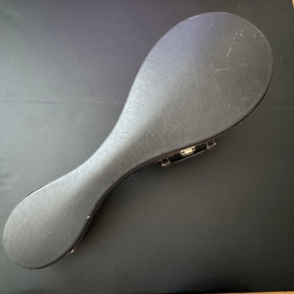 [Hard case ] SUZUKI Mandolin M-215