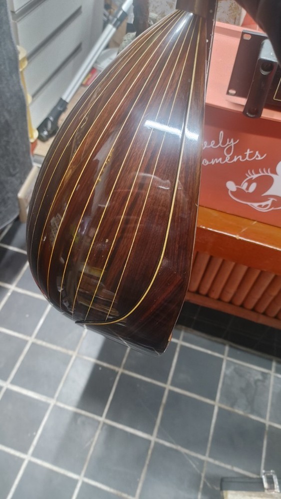 Mandolin ikegaku stringed instrument with case