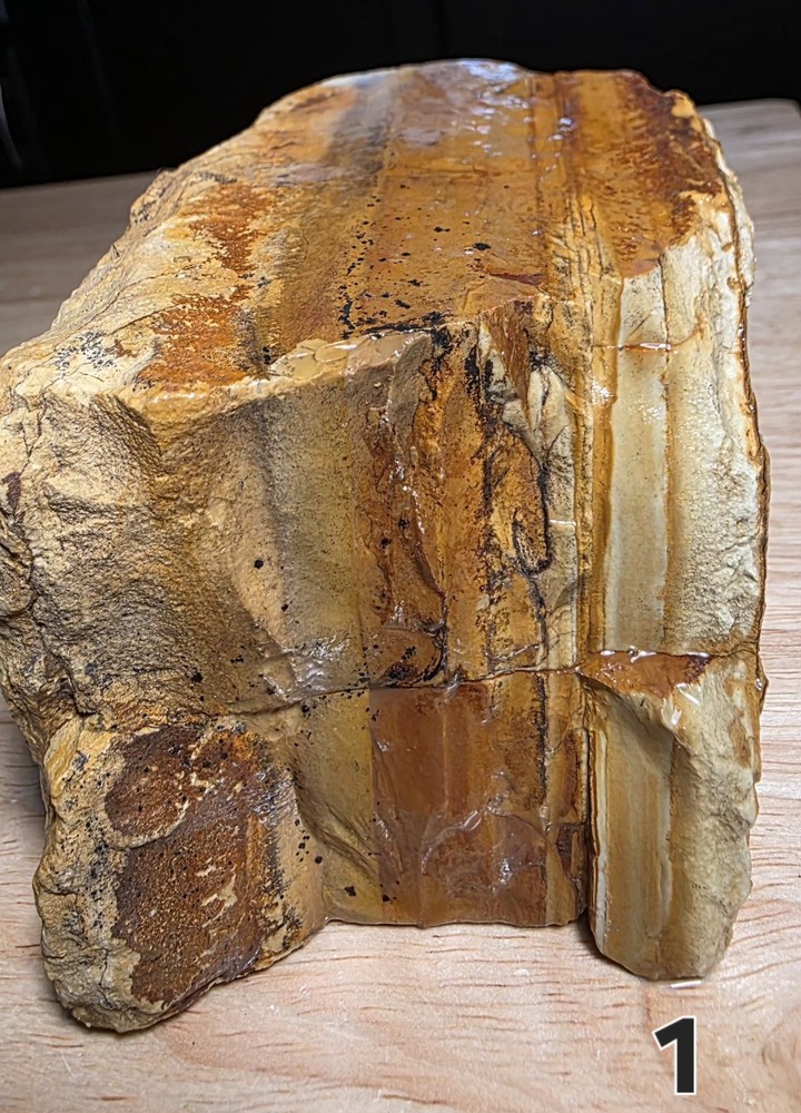 owyhee picture jasper