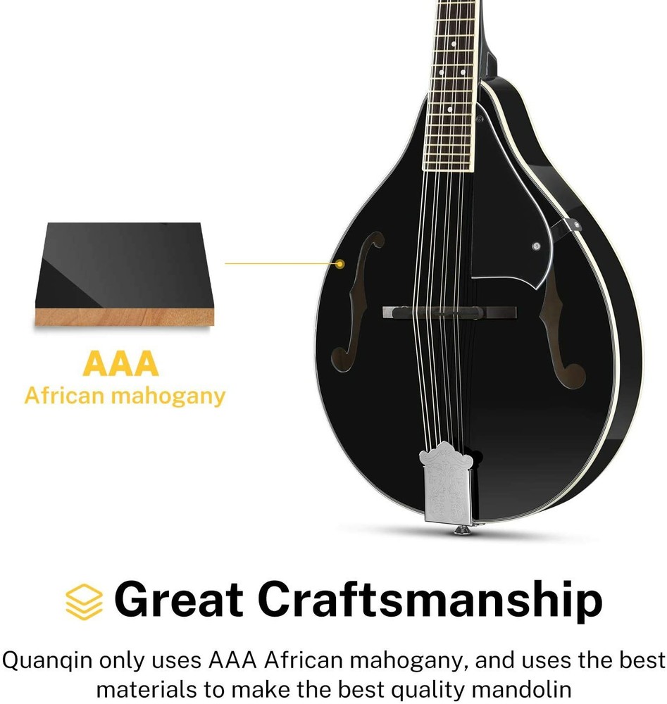 8 String Mandolin - Black - Maple Neck & Rosewood Fingerboard!
